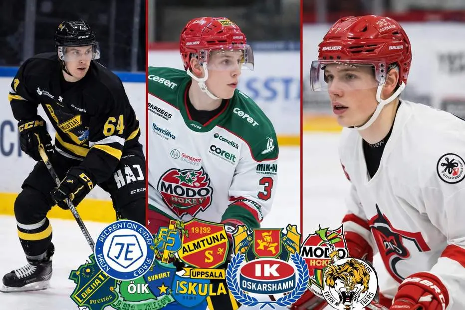 14 potentiella genombrott i Hockeyallsvenskan 26/27