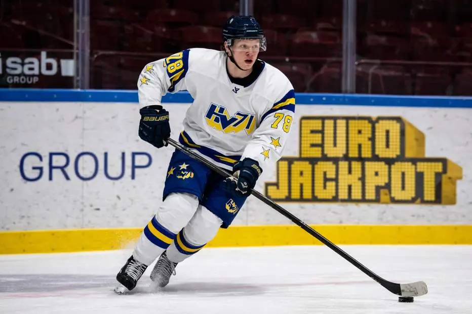 18-åringen matchvinnare för HV71