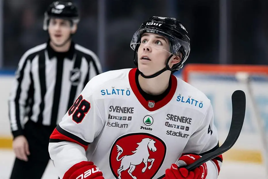BIK Karlskoga lånar poängspruta från Hockeyettan