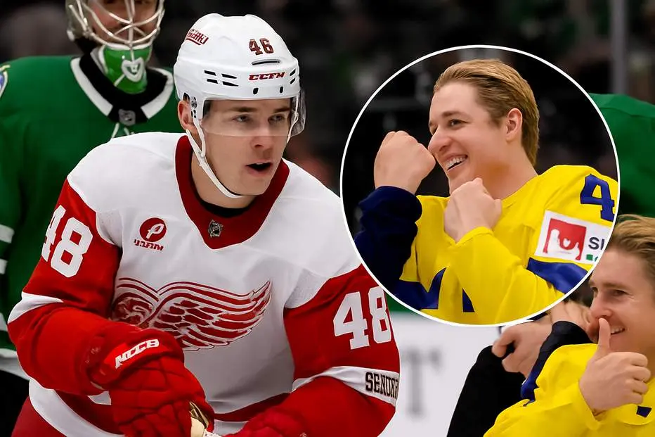 Detroit placerar NHL-svensken på waivers
