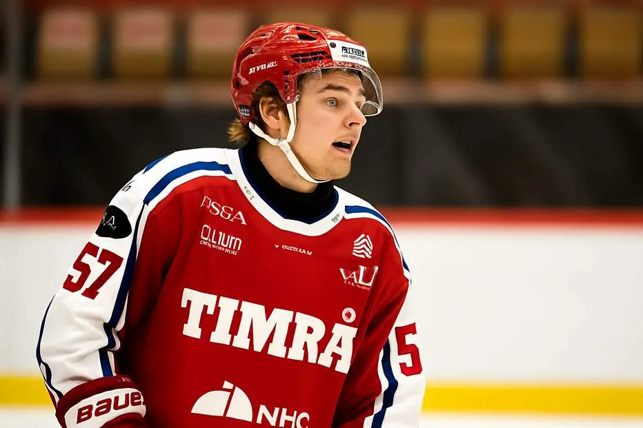 Värvades från SHL – lånas nu ut till HockeyEttan