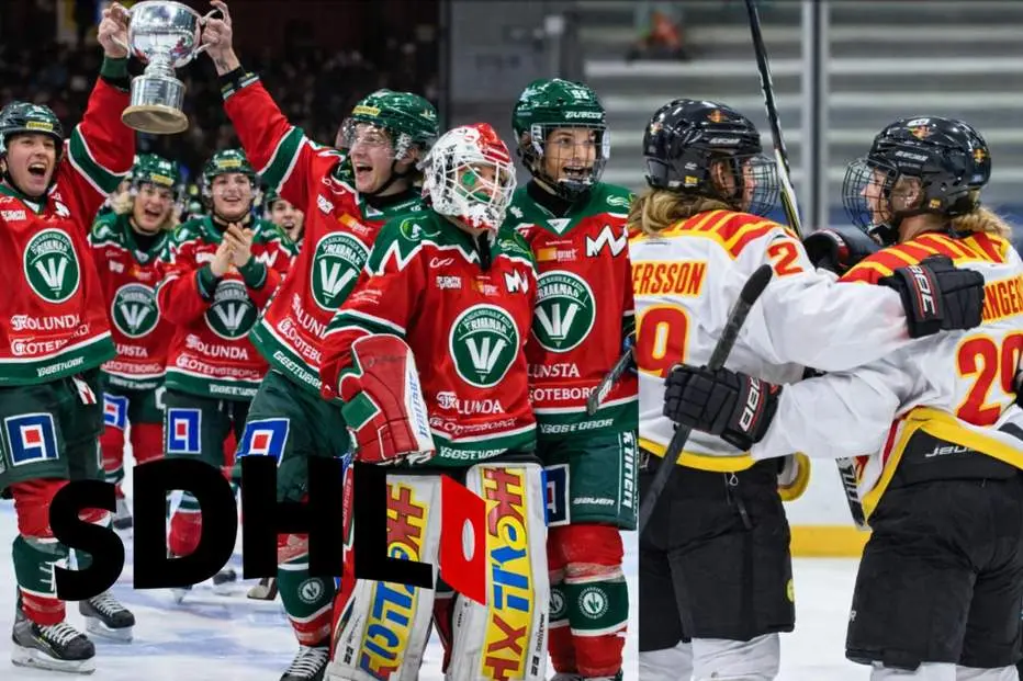ENKÄT: Så går finalserien: ”Till slut är det dags för Brynäs”