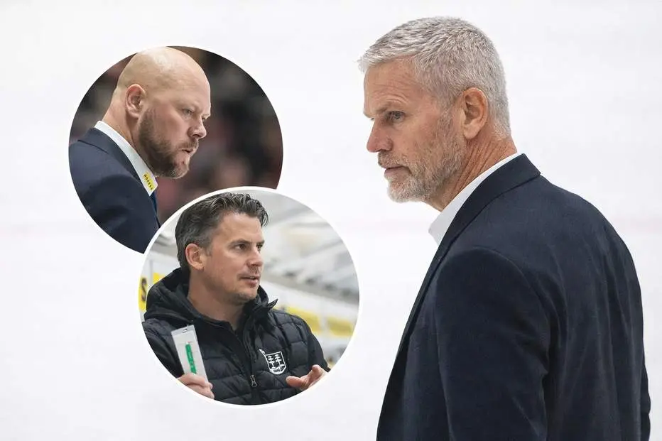 Klart: Förlänger med Timrå – så blir staben