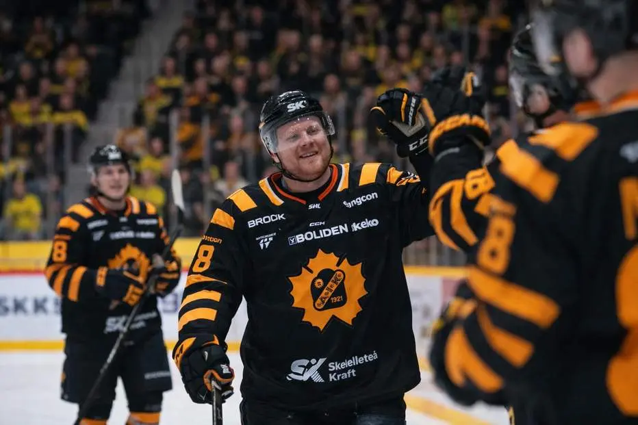 Guldbacken är tillbaka i Skellefteå – med en ny roll