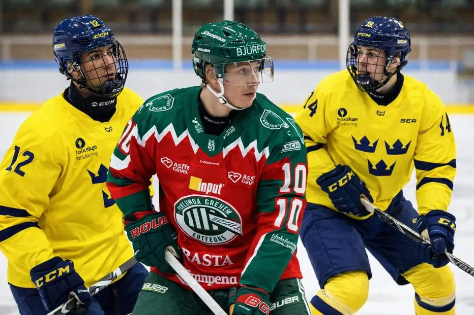 Genomgång: Hetaste svenskarna inför draften nästa år