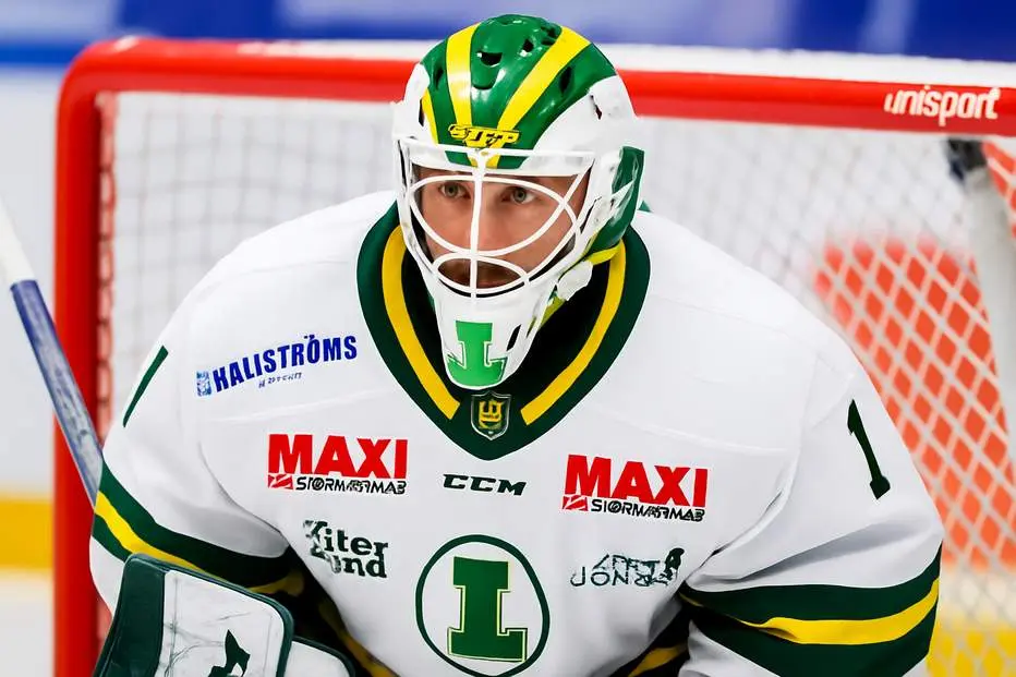 Klart: Lånas in av SHL-klubben