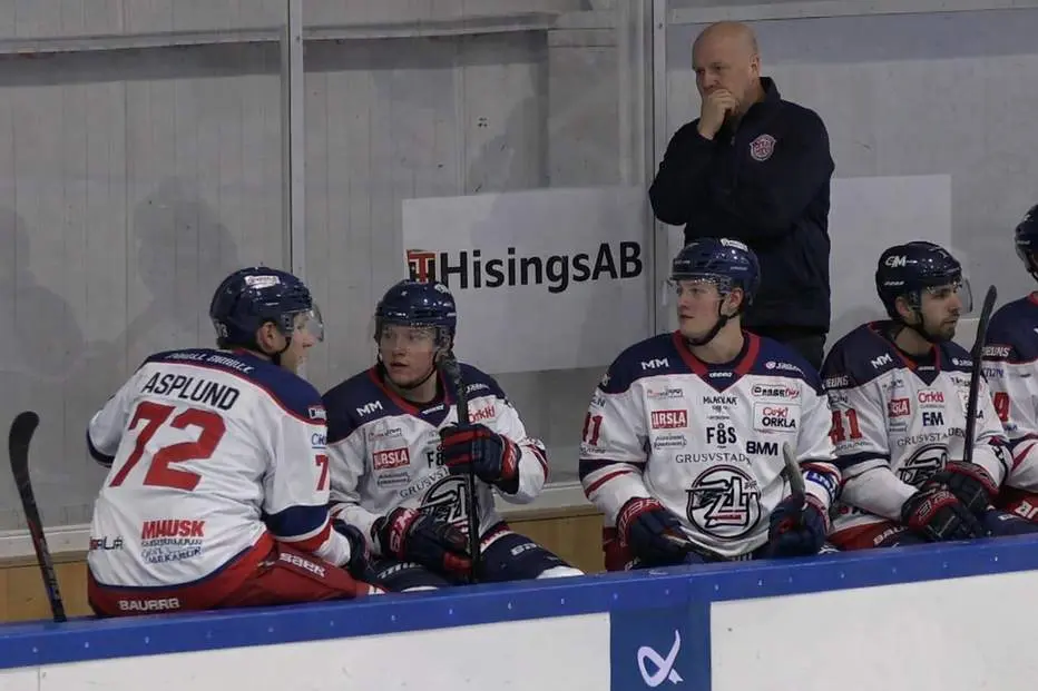 MJÖRNBERG: Tror de själva på vad de skriver?