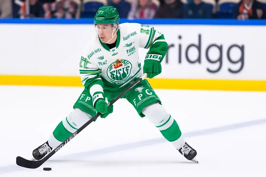 Målsprutan får chansen i Hockeyallsvenskan