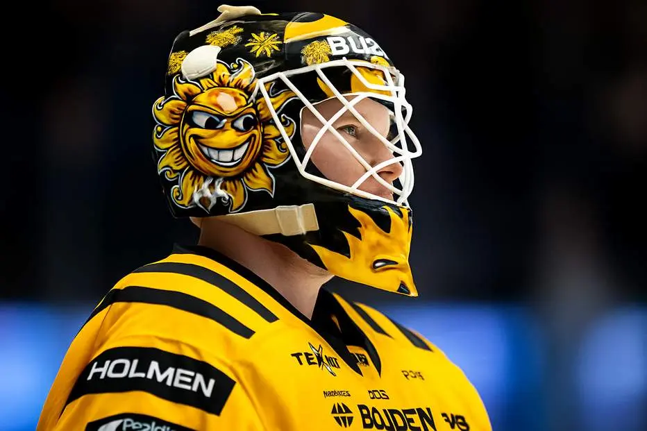 MoDo lånar SHL-målvakt: Bra lösning för laget