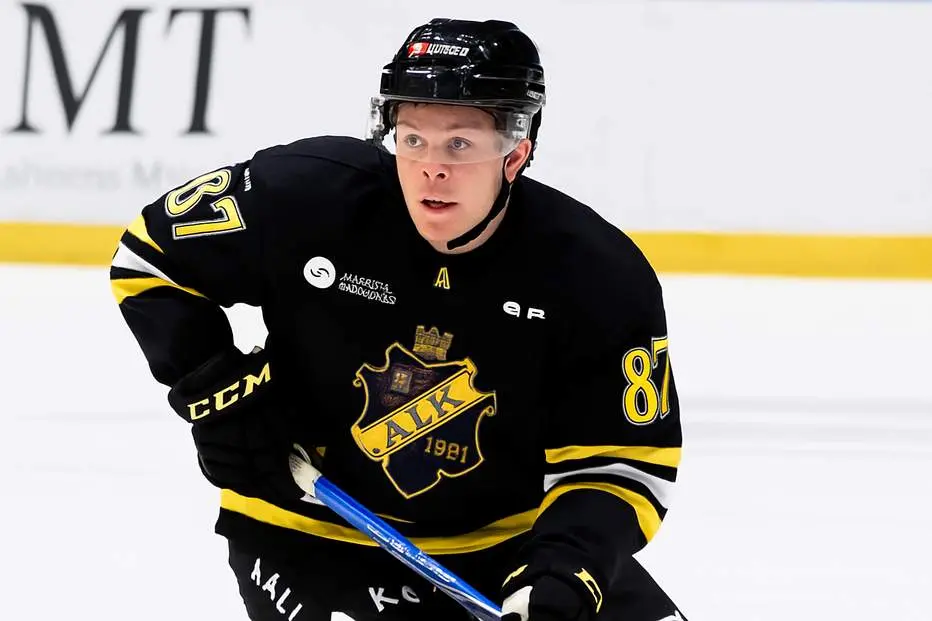 SHL-lånet får lång avstängning