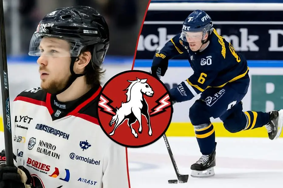 Storsatsar mot allsvenskan – lånar in fyra (!) spelare