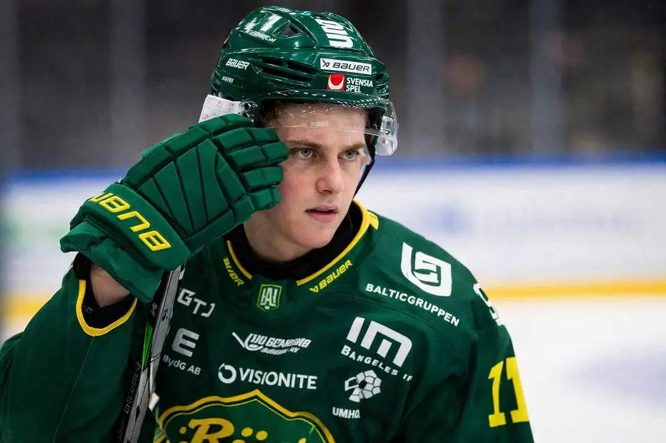 Succébacken petas av Björklöven