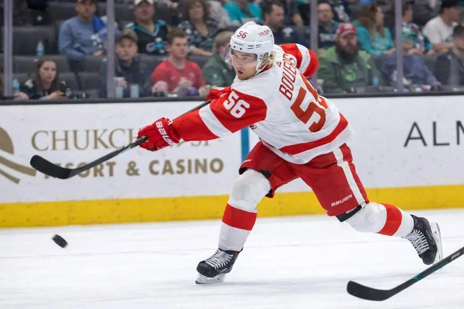 VM-backen dumpas av NHL-klubben – får spela i AHL